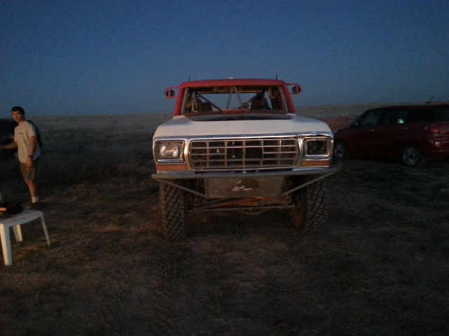 Black eyed bronco