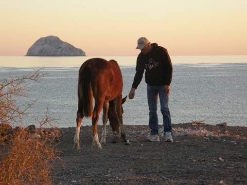 Rick attempting to feed the horses granola bars