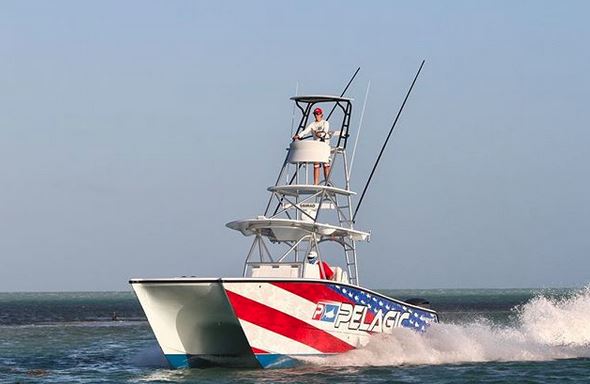 Pelagic ad 5.JPG