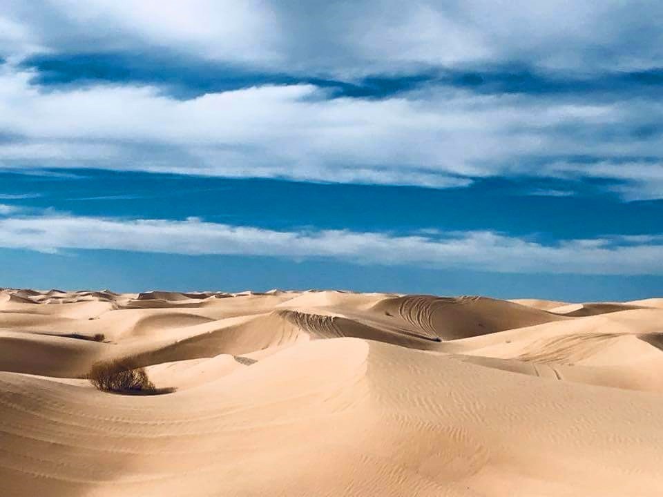 Dunes.jpg