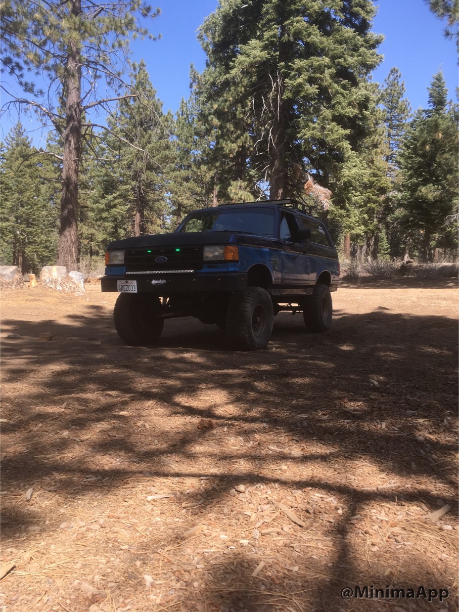 A bronco in the woods aka home