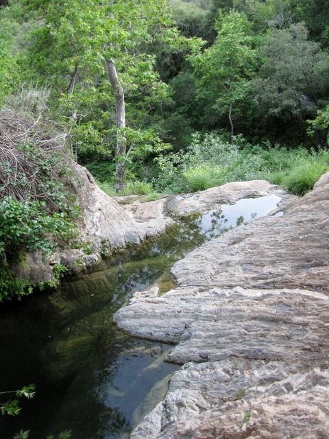 The other end of the pond.