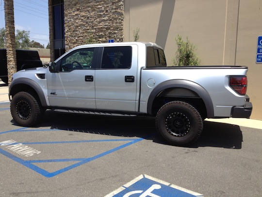 raptor_small.JPG