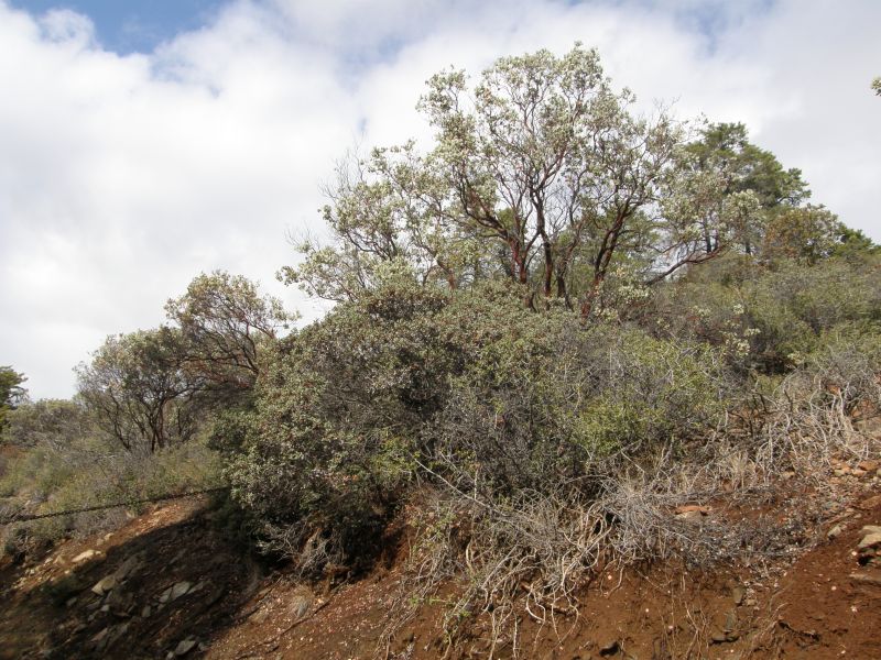 PA140064.jpg