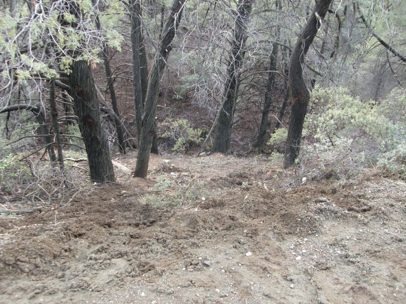 PA140071.jpg