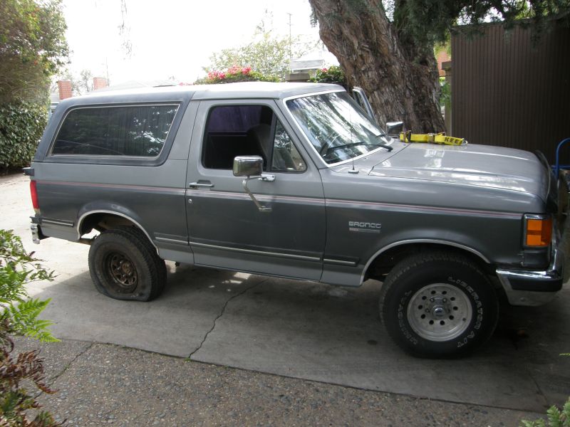 donar bronco
