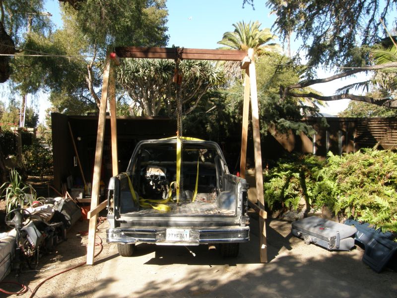 P1100459.jpg