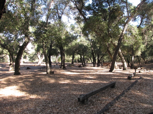 IMG_0069 (640x480).jpg