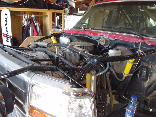 Ollie's Bronco
