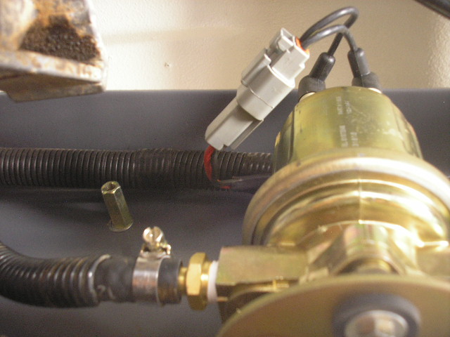 P1010186.JPG