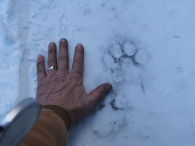 DSCF4621.JPG