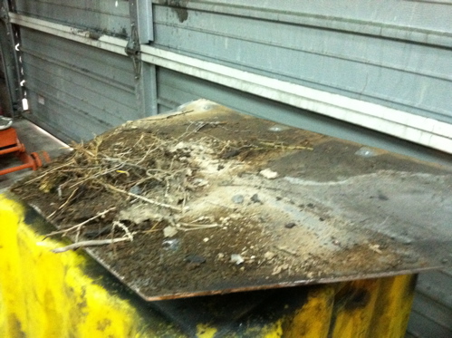I haven't pulled my skids in about a year :)