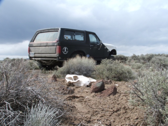 DSCF5144.JPG