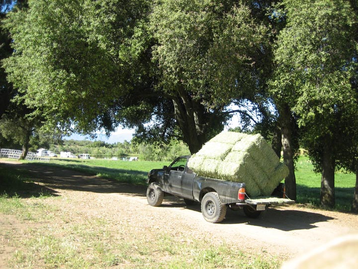 New age Hay Hauler????