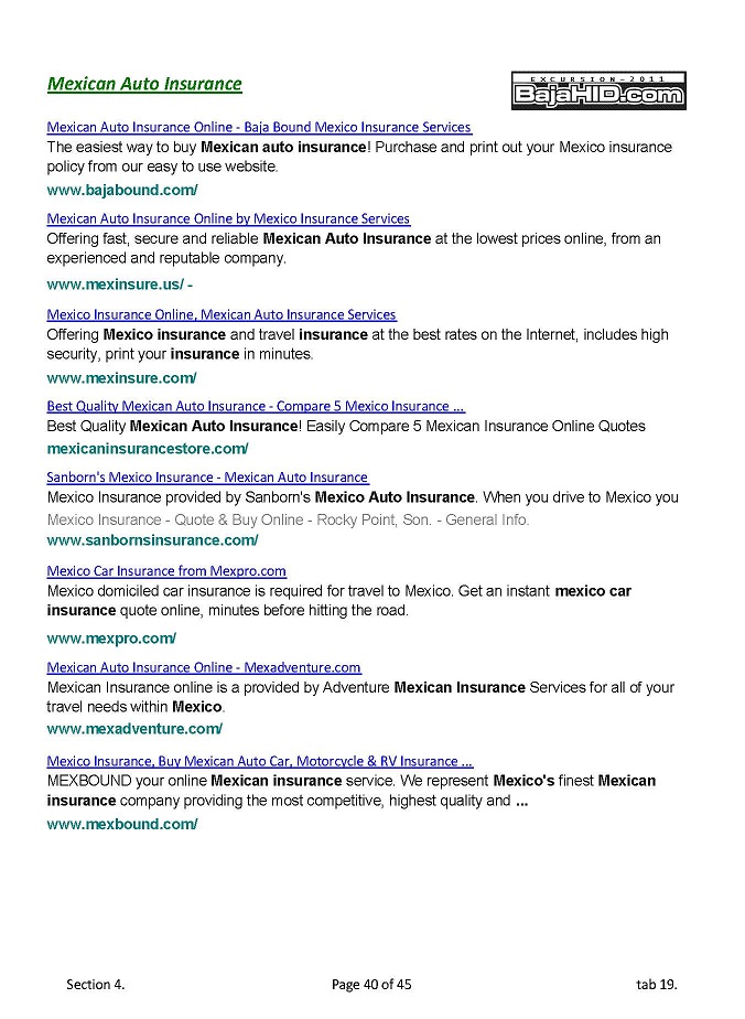 Mexican Insurance Options