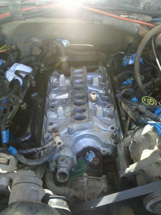 IMG_20110804_104641.jpg