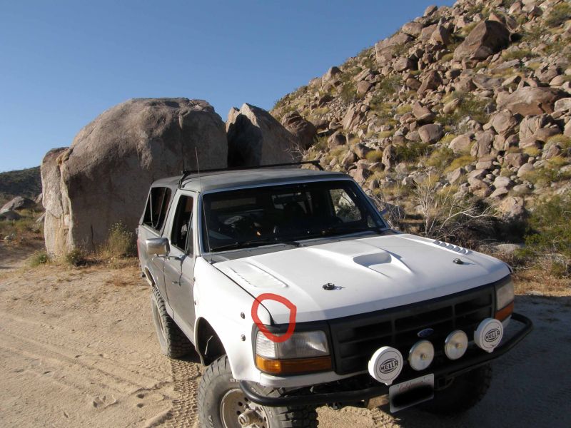 P4260535-edited-resized.jpg