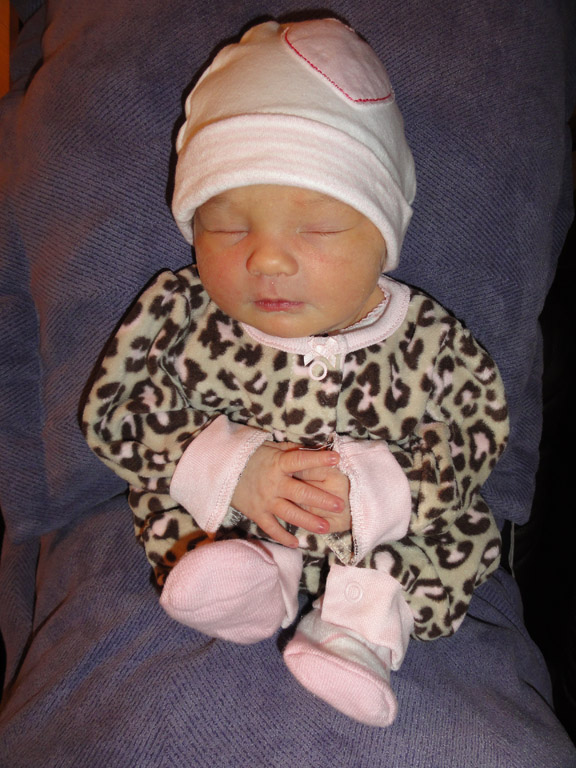 DSC01664a.jpg