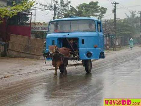 funny-pictures-mexican-suv-jRD.jpg