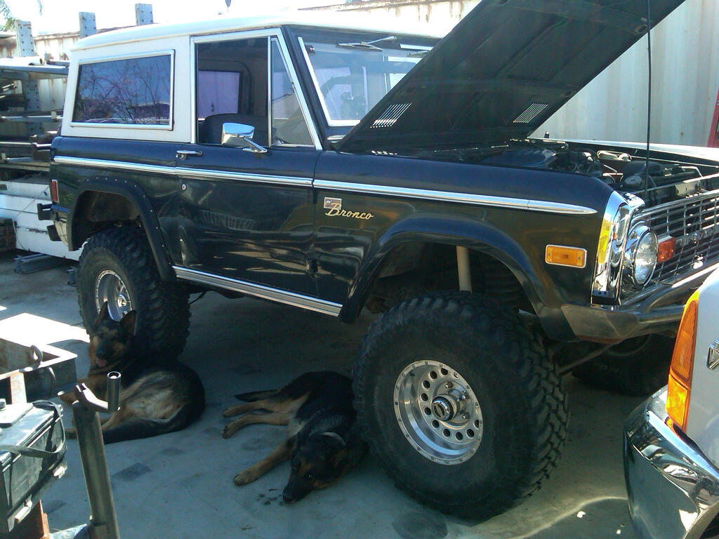 Ford_Bronco_1977.jpg