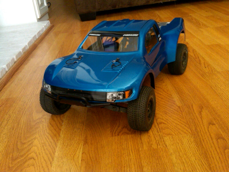 Raptor01.jpg