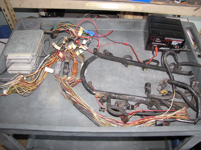IMG_3029 (640x480).jpg