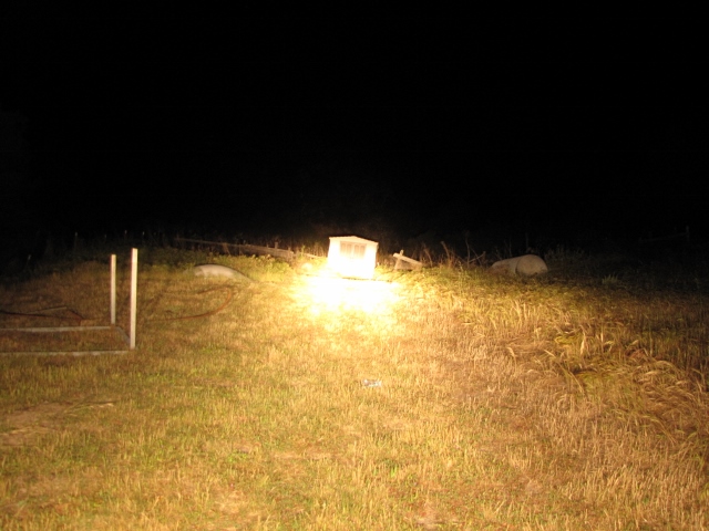 High beams plus 2 Flood and 2 pencil beams.