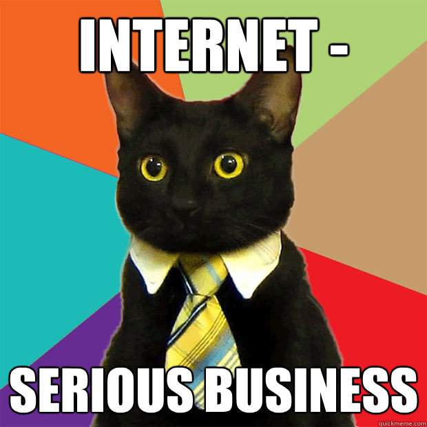 internet-serious-business-cat-i2.jpg
